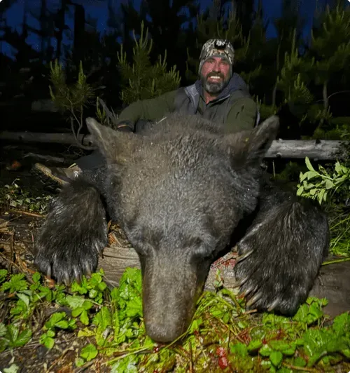 GUIDED IDAHO BEAR HUNTS