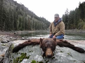 Bear