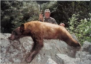 Bear
