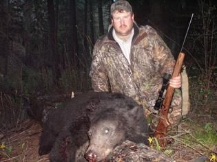 Bear
