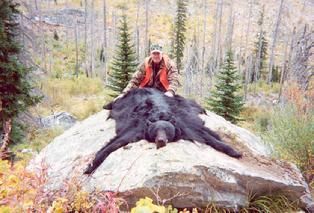 A man is sitting on top of a large black bear on a rock in the woods.