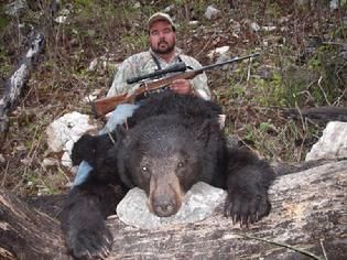Bear