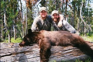 Bear