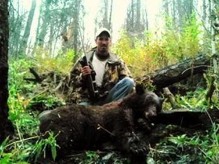 Bear
