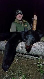Bear