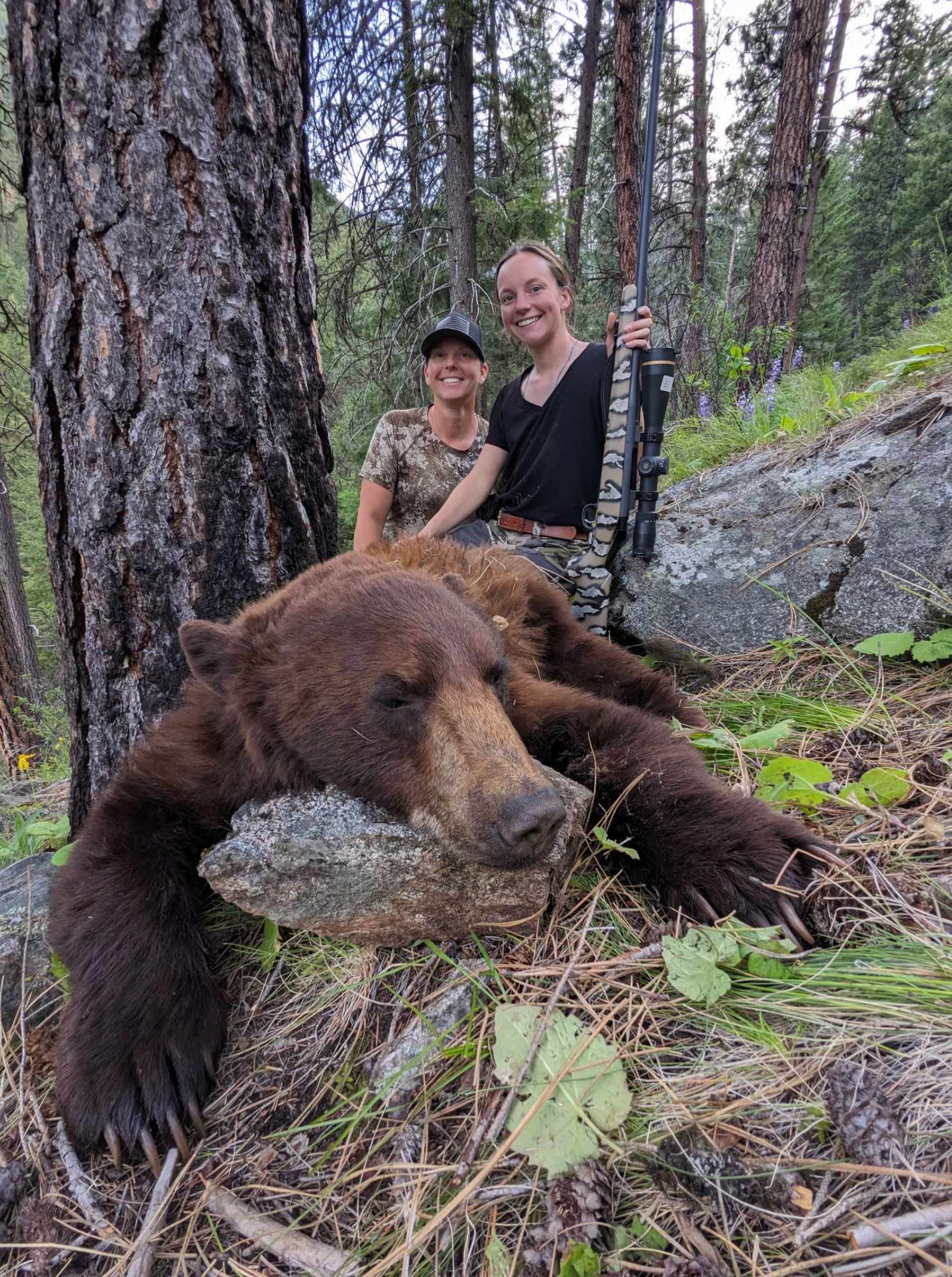 Bear