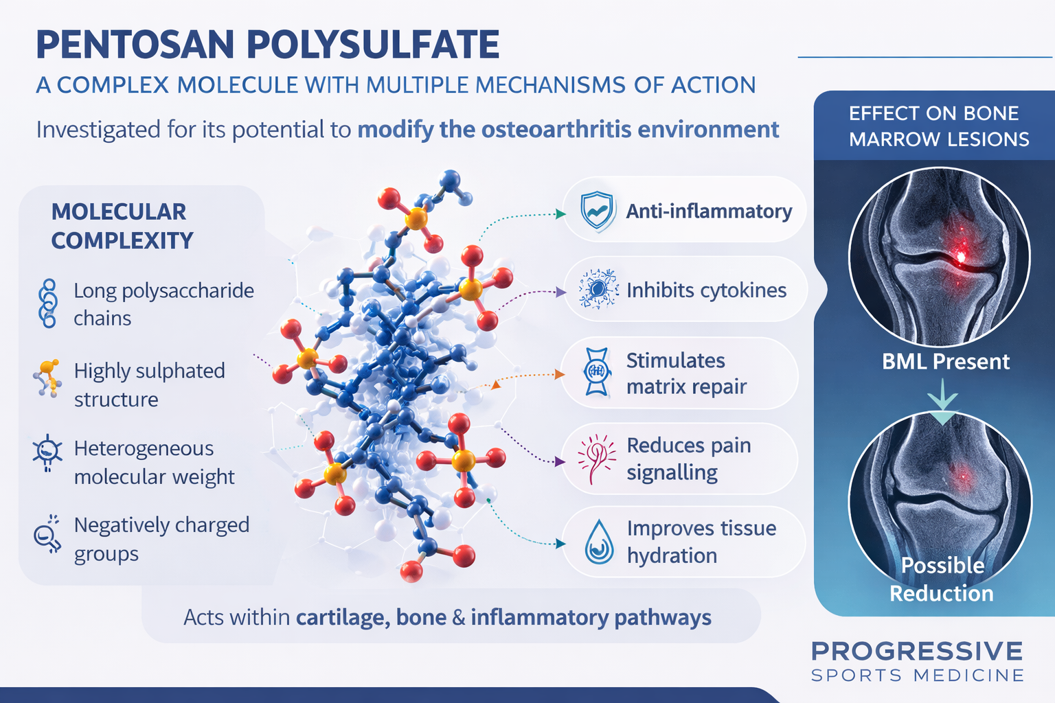 Infographic on pentosan polysulfate showing molecular structure and anti-inflammatory effects on a blue background