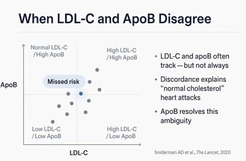 Illustration for the section on discordance between LDL-C and apoB.