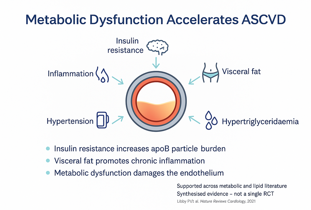 Illustration for the section on metabolic health accelerating ASCVD.