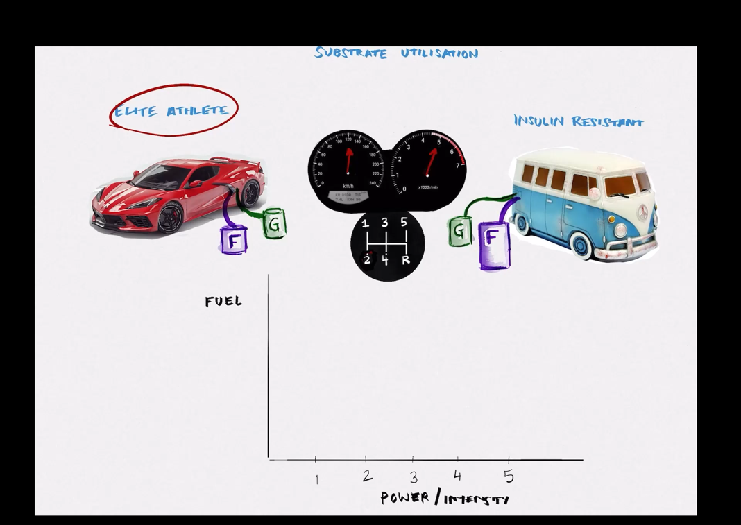 Red sports car and blue bus with stopwatch icons, shown on a graph comparing travel times.