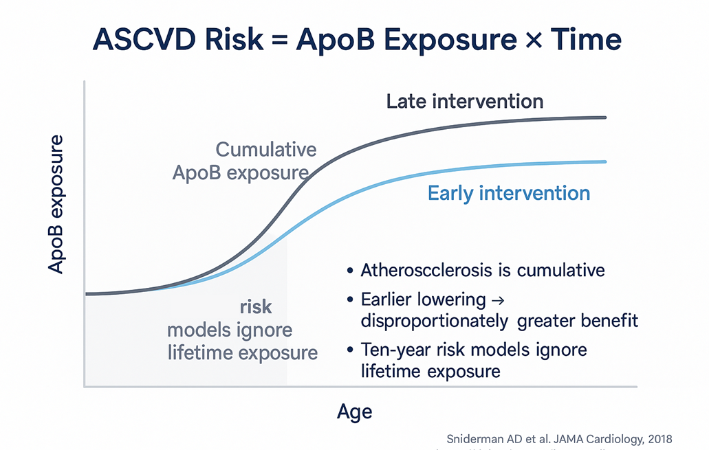 Illustration for the section on early versus late intervention and the risk modification curve.