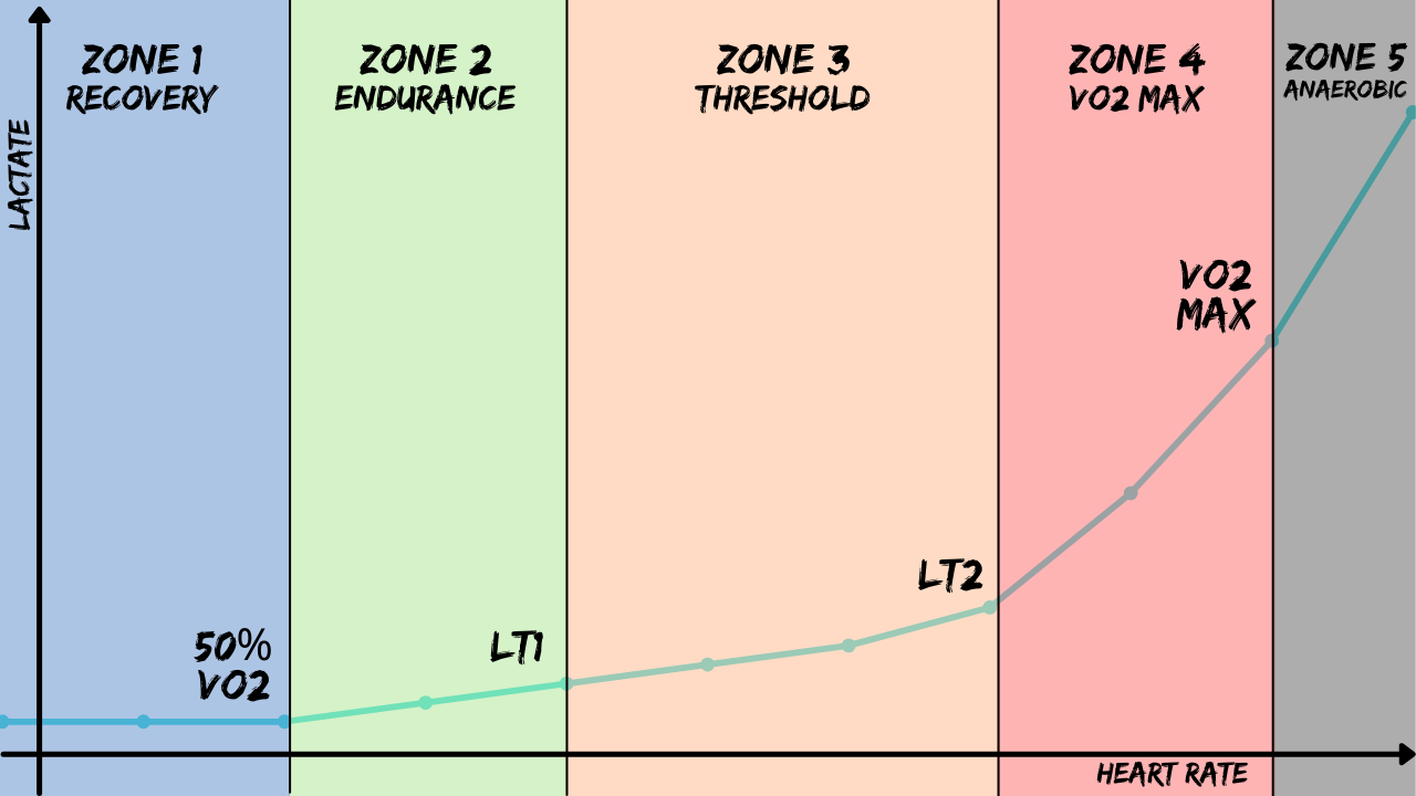 VO2 max heart rate training zones chart