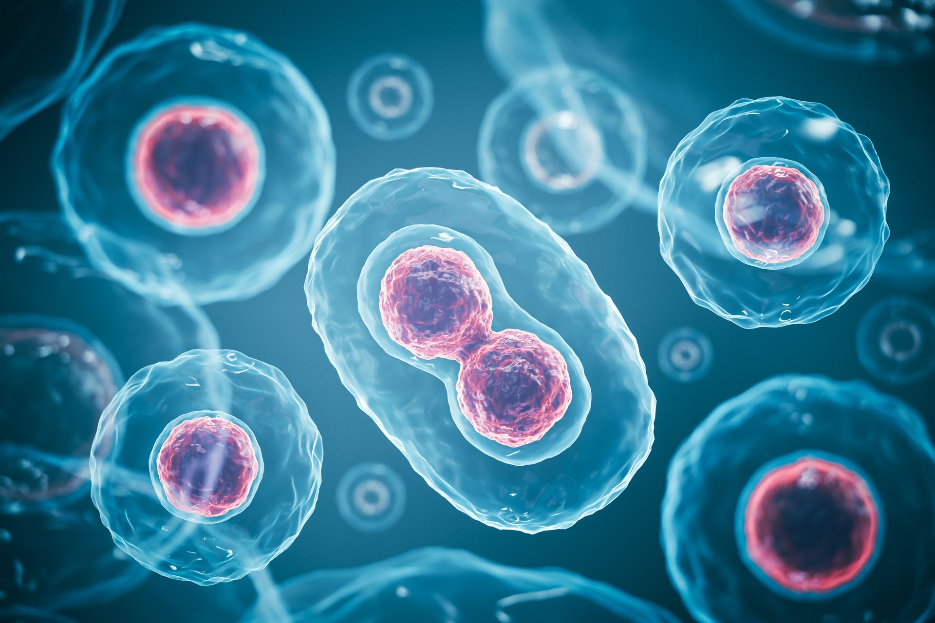 stem+cells.jpeg