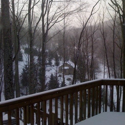 A view of a snowy forest from a deck