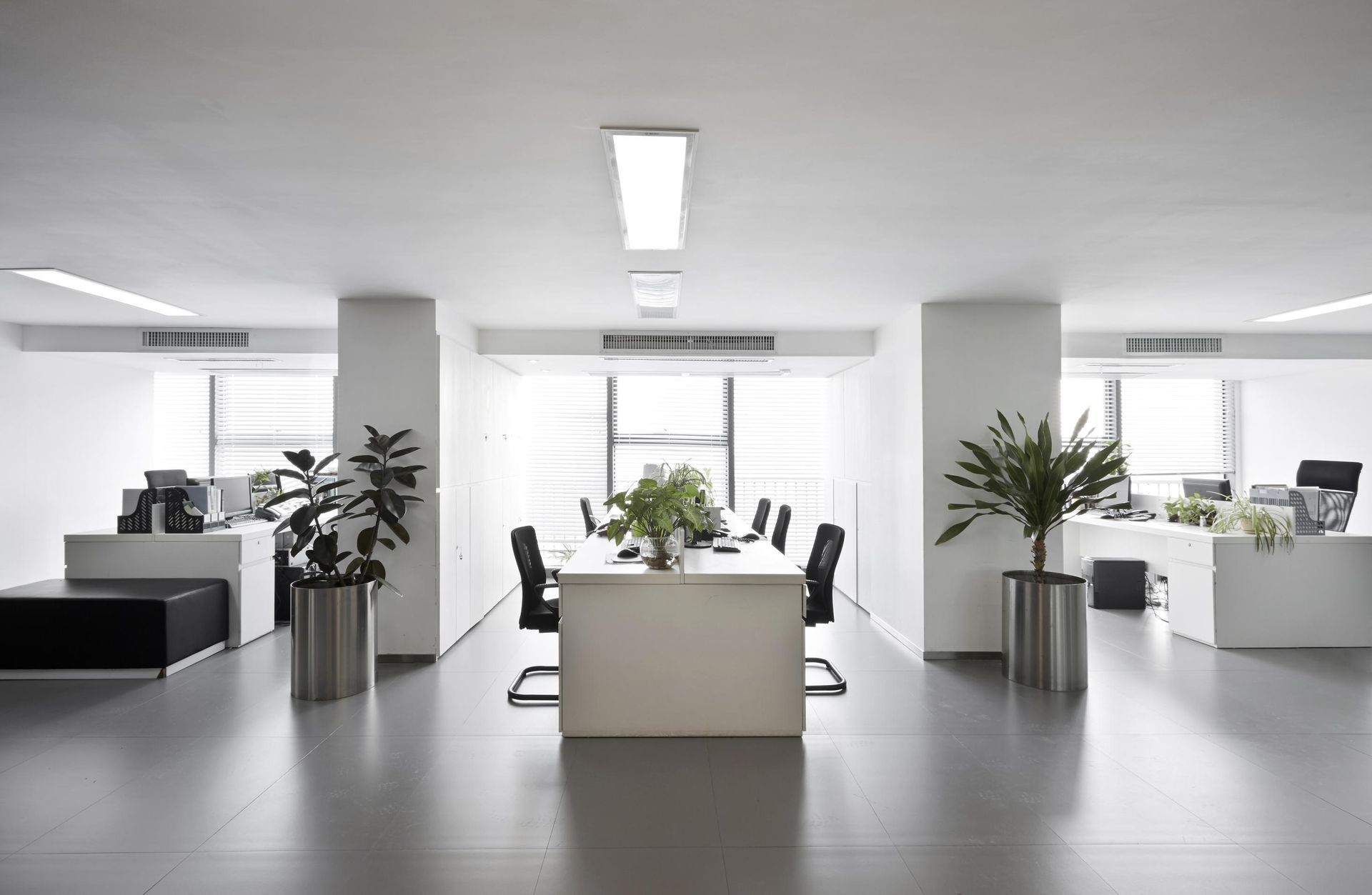 An office with a table and chairs and plants.