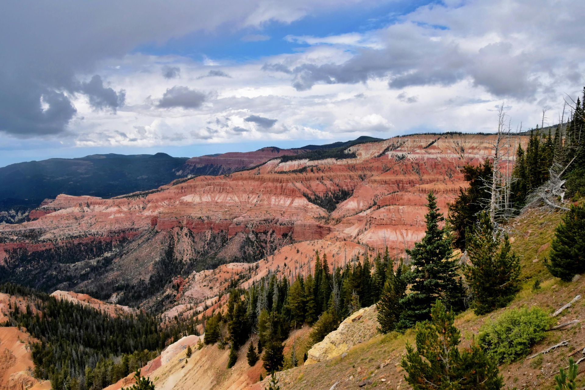 Red rock canyon with evergreen trees under a cloudy blue sky.