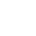 icona trofeo