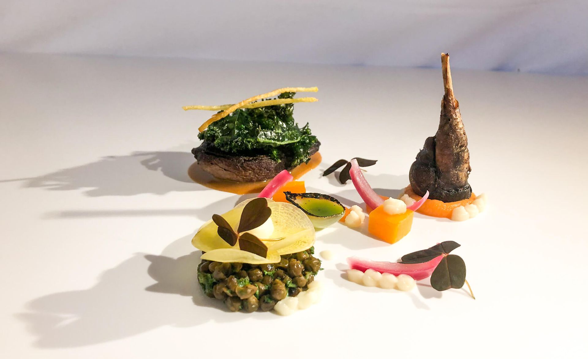 Små forretter på tallerkener, kunstferdig arrangert på en hvit overflate, med diverse fargerike ingredienser.