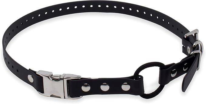 Educator Quick Snap Bungee Dog Collar
