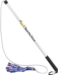 Flirt Pole V2 with Lure