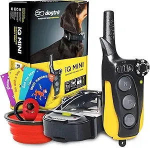 Dogtra E Collar IQ Mini