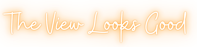 Glowing cursive text reading “The View Looks Good” in light orange on a transparent background.