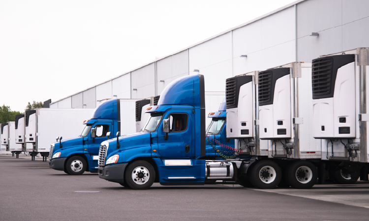 Fleet of blue refrigerated trucks parked at cold storage facility loading dock.