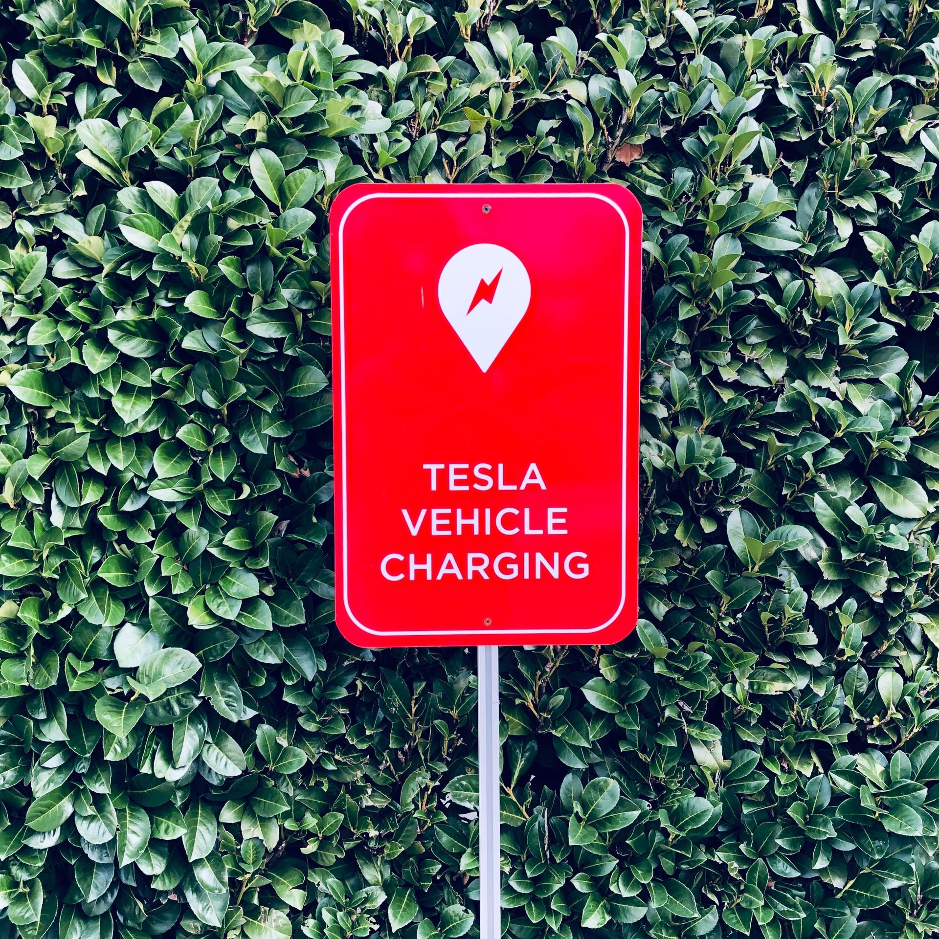a close up of an electric car charger