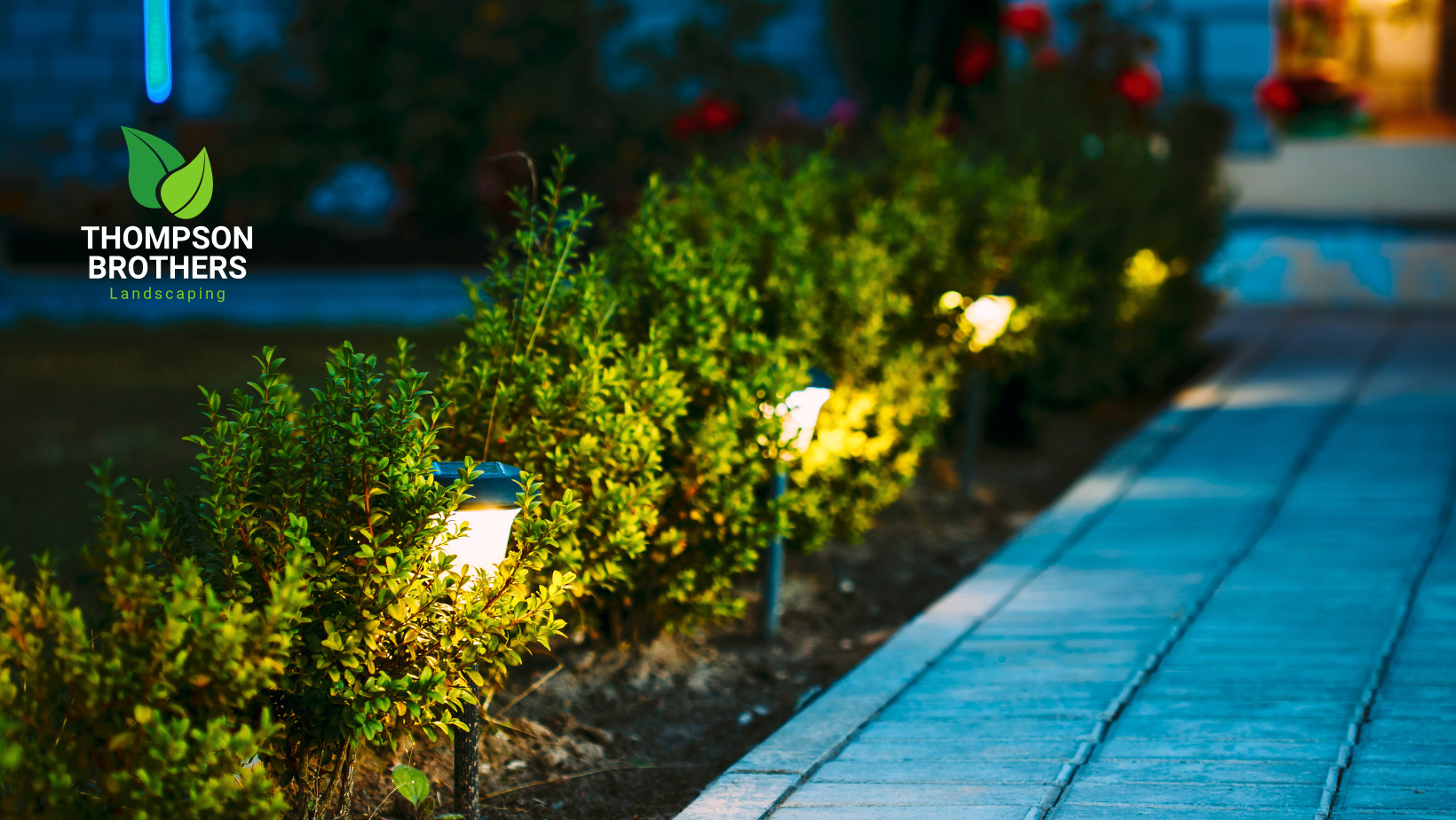 Lit pathway lined with bushes, featuring small lights glowing at night.