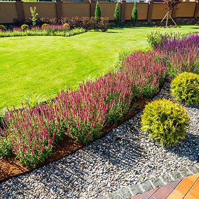 A garden bed with tall purple flowers and small shrubs alongside a gravel path and a lush green lawn near a brick fence.