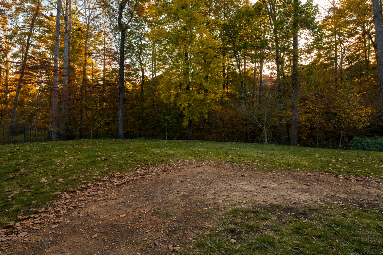 A dirt patch transitioning into a green lawn, framed by dense autumn trees with golden and brown foliage under soft light.
