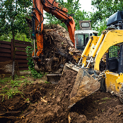An orange excavator pulls a tree root from the ground next to a yellow skid steer loader scooping dirt.