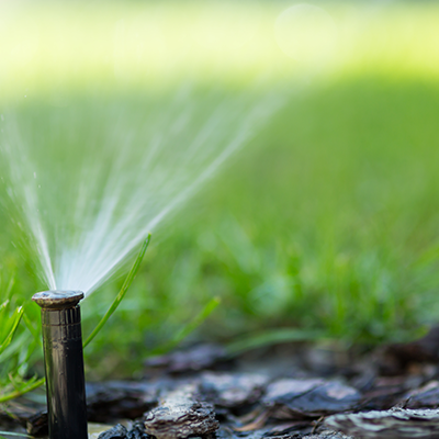 A black irrigation sprinkler sprays a fine mist over green grass and mulch.