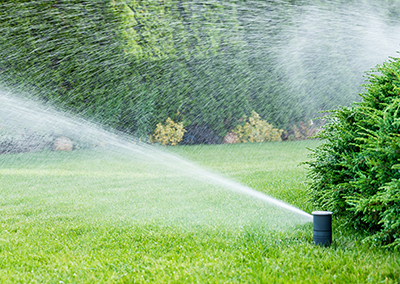 A lawn sprinkler sprays a stream of water across a green grass yard in front of a dense hedge.