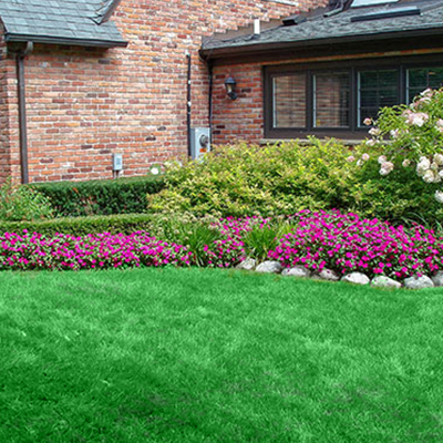 A red brick house with a green lawn, a hedge, and a vibrant flower bed with pink flowers and white stones.