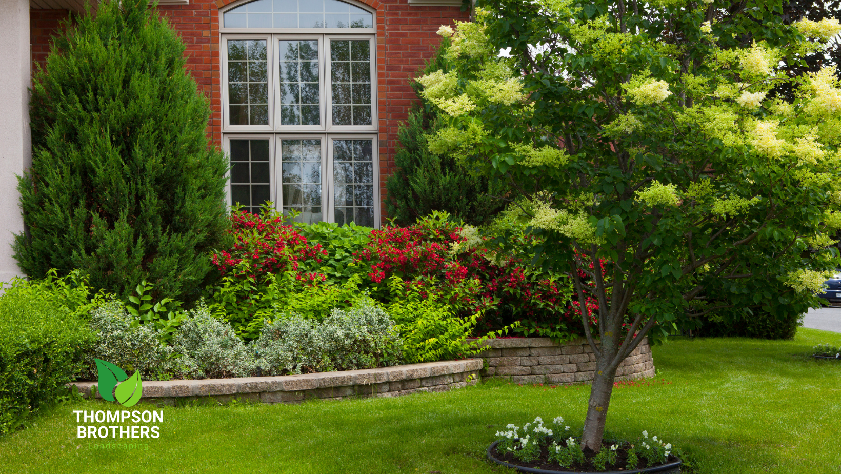 The Advantages of Professional Landscaping Services