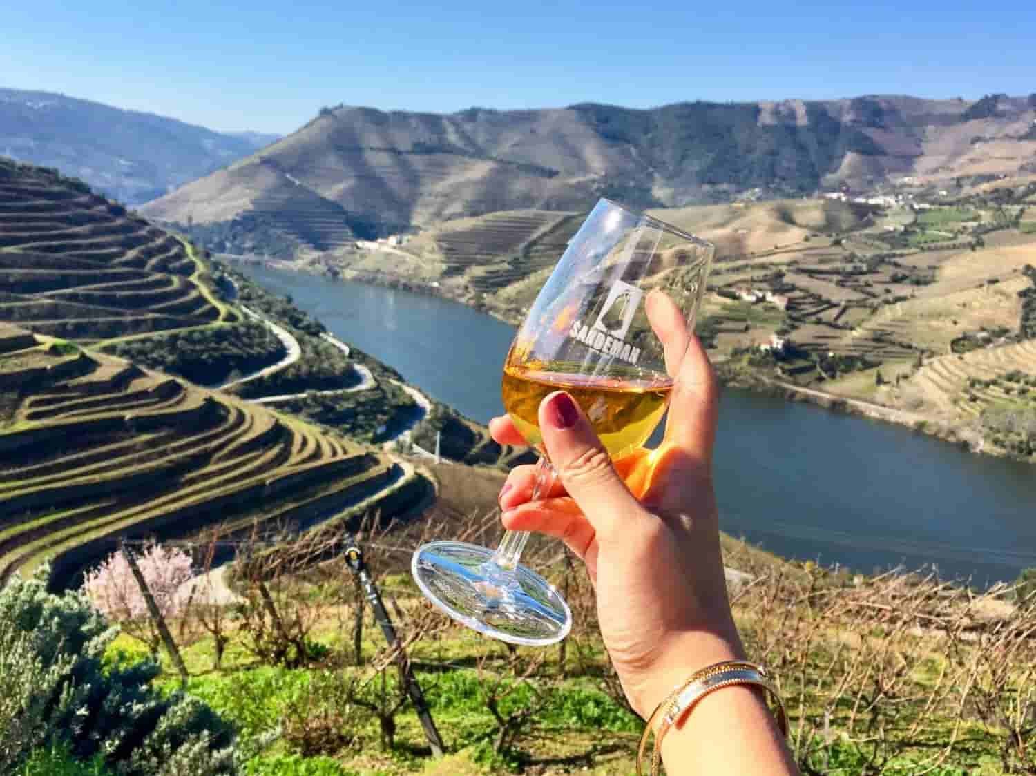 A person is holding a glass of wine in front of a river.