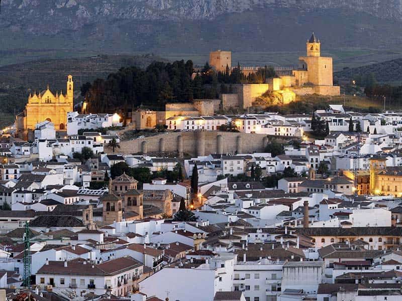 A large castle in Antequera is sitting on top of a hill surrounded by trees.