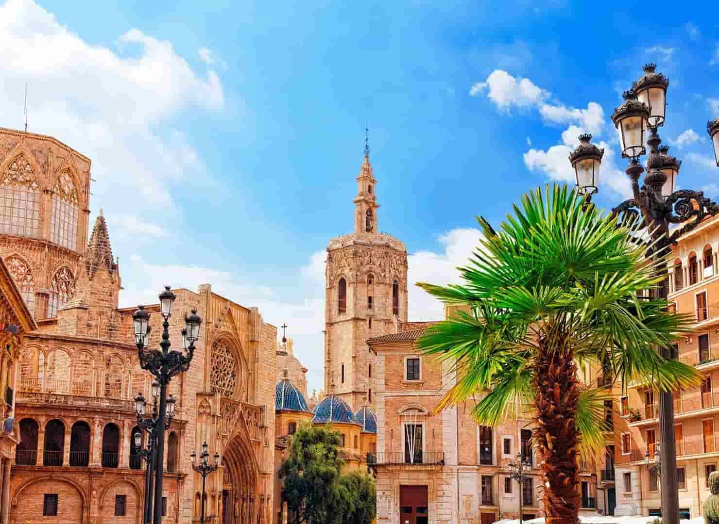 There is a palm tree in the foreground and a cathedral in Valencia.