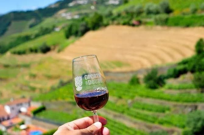 A person is holding a glass of wine in front of a vineyard .