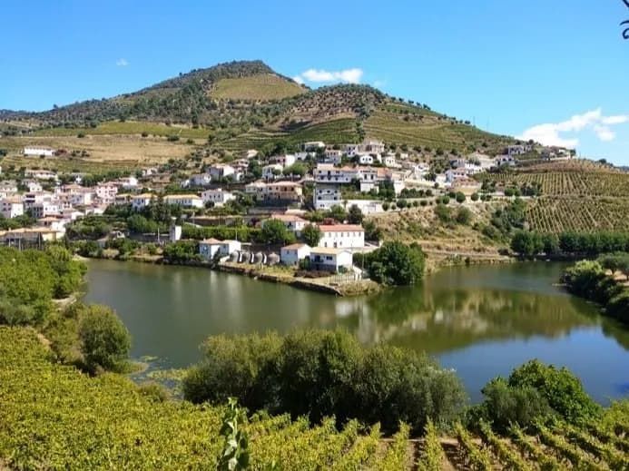 A small village sits on a hill overlooking a lake