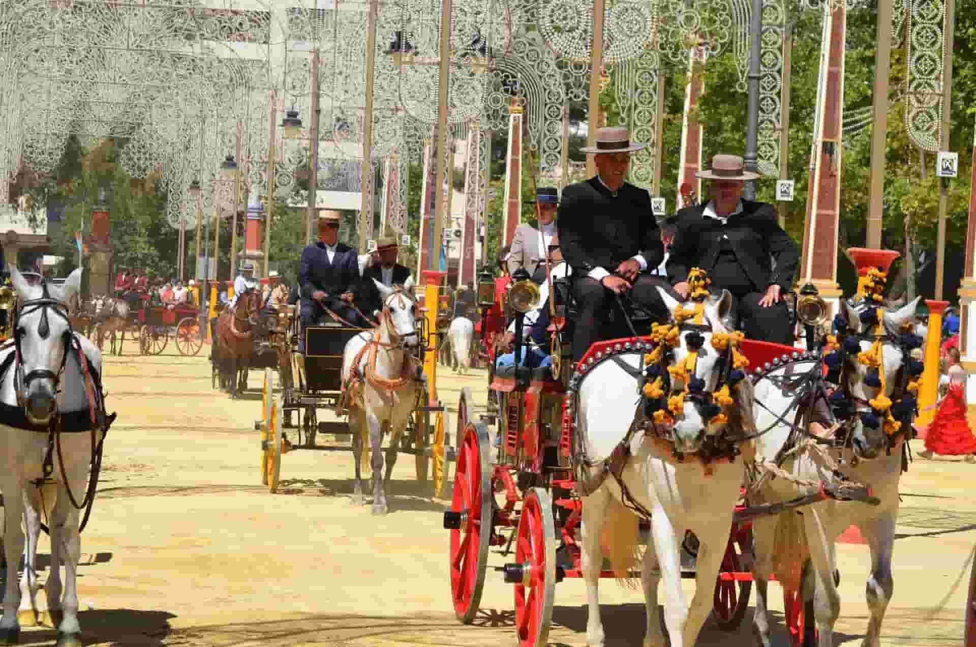 A group of people are riding horse drawn carriages.