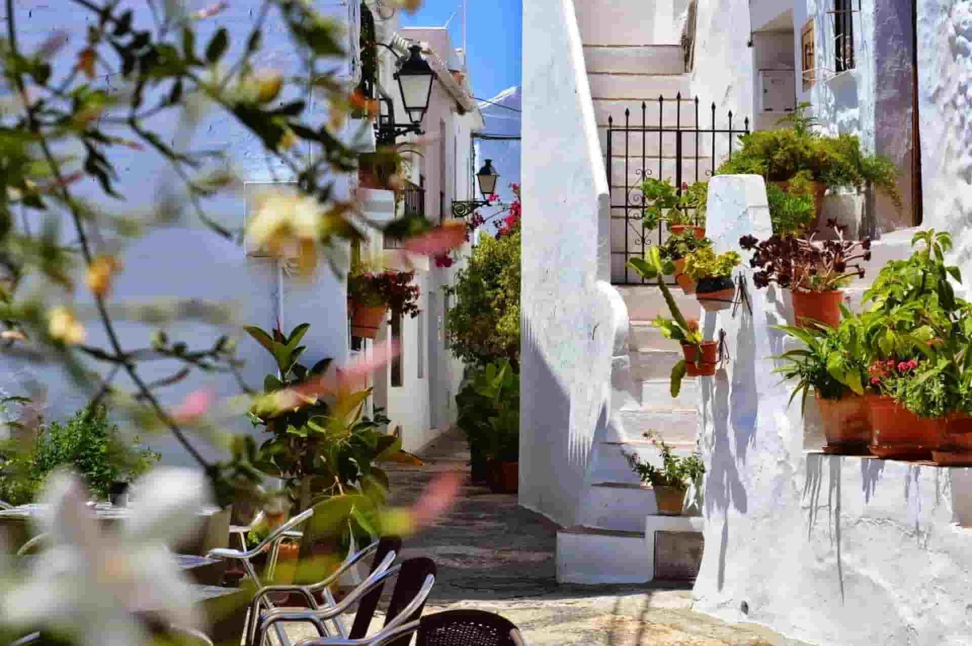 A narrow alleyway lined with white buildings and potted plants.