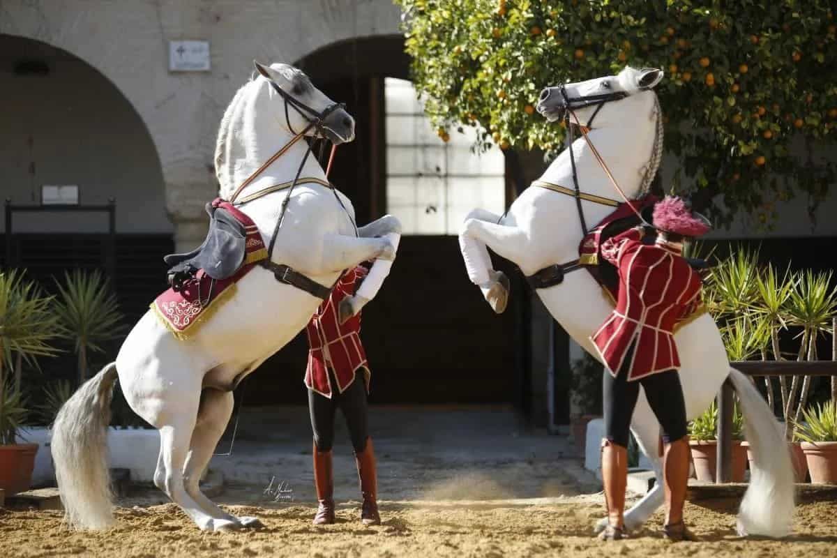 A group of men are riding horses in a line
