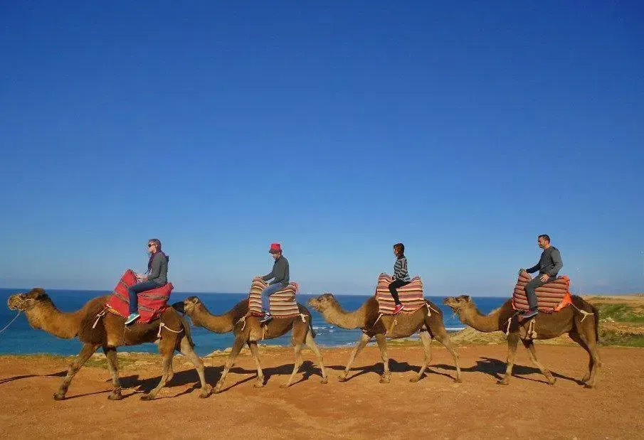 A group of people are riding camels in a row.