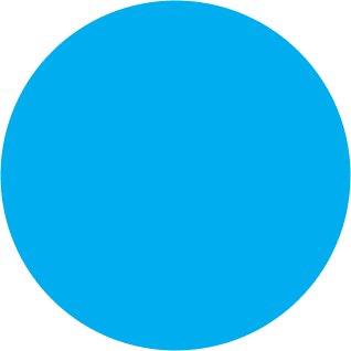 Light blue circle on a white background.