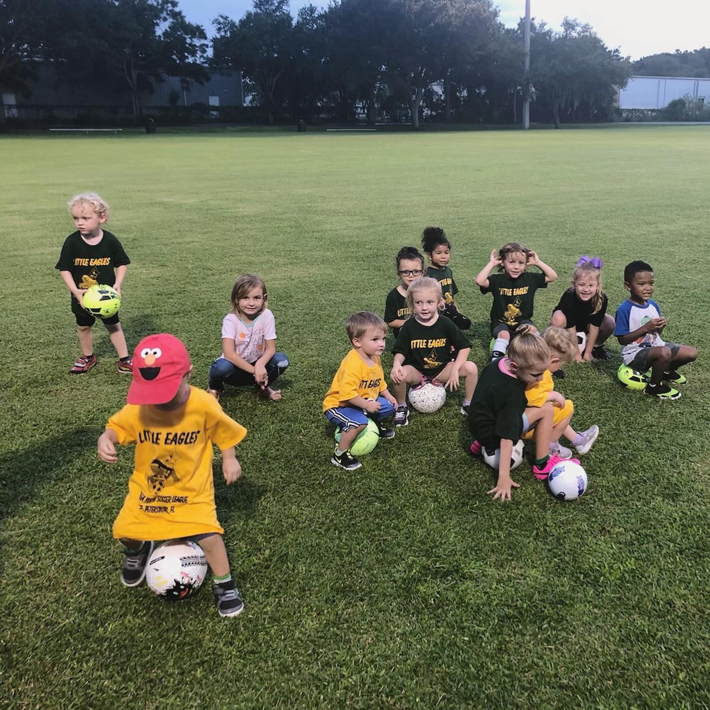 Little Eagles