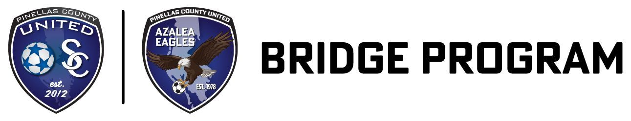PCU AYSL Bridge Program