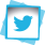 Twitter logo: blue bird icon in a white box, set against a light blue, abstract shape background.