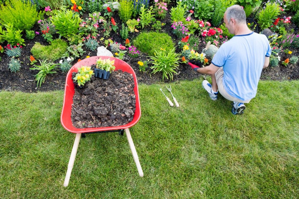 An image of Weed Control Services in Cincinnati OH